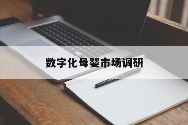 黄山市数字化母婴市场调研(数字化母婴市场调研报告)